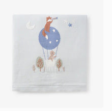 Load image into Gallery viewer, Hot Air Balloon Collection