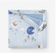 Load image into Gallery viewer, Hot Air Balloon Collection