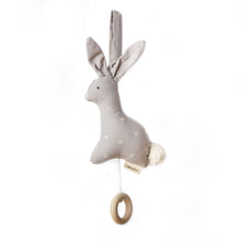 Load image into Gallery viewer, Pehr Musical Pulls