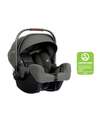 Load image into Gallery viewer, Pipa Infant Car Seat